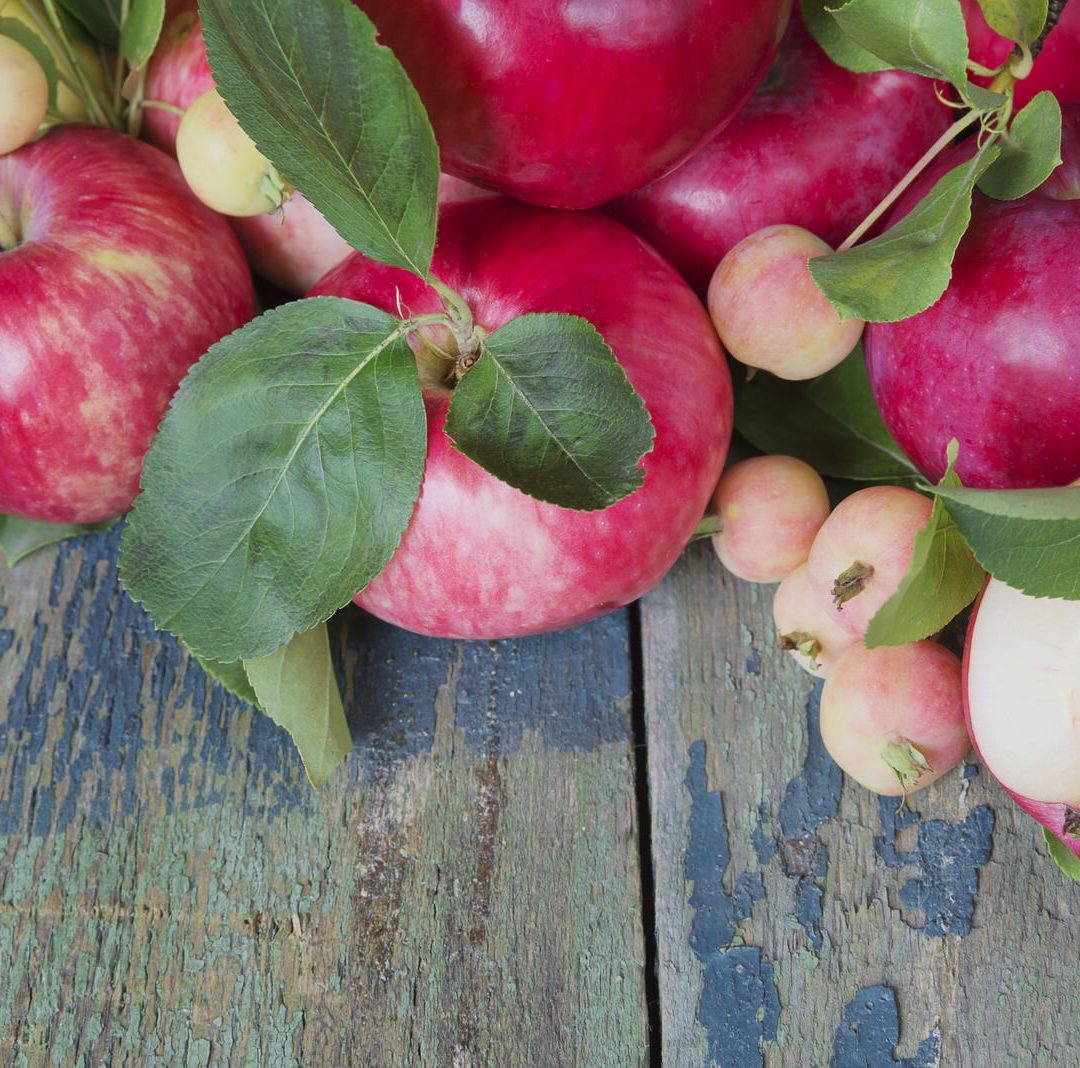 Crunch Into History With Heirloom Apples