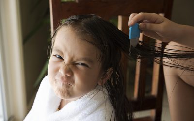 Back to School, Back to Lice (Ugh!)