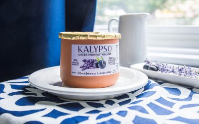 LOCAL FLAVOR: Kalypso Yogurt