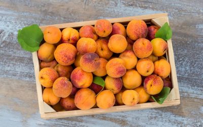 RECIPES: Late-Summer Stone Fruits