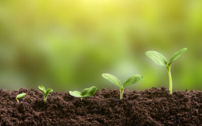 April 2026 Newsletter