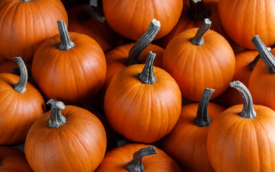October Newsletter 2026